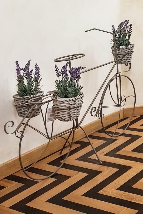 Domus Paradiso Apartamento Roma